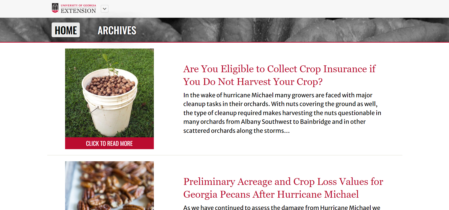 A preview of the reworked Pecan web site